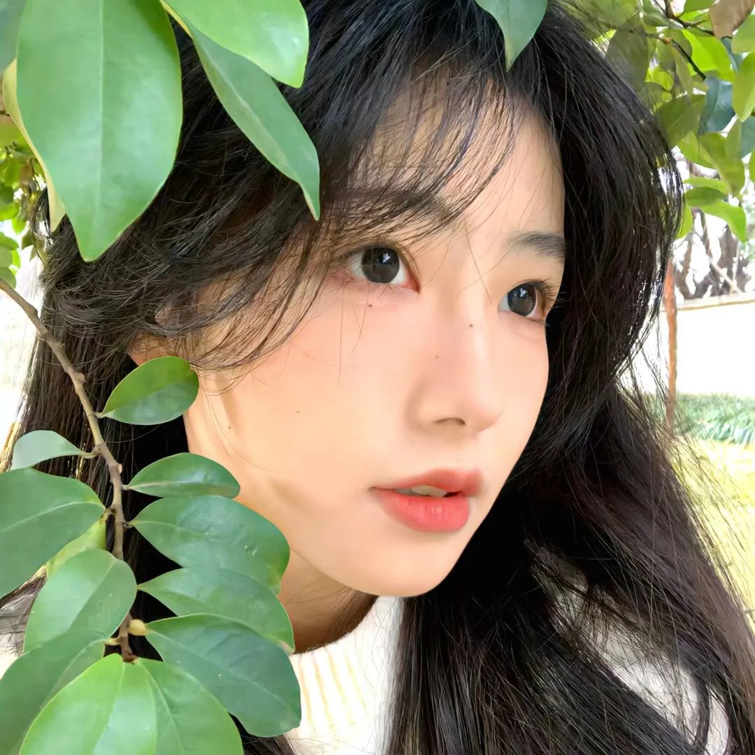 巾帼枭雄
